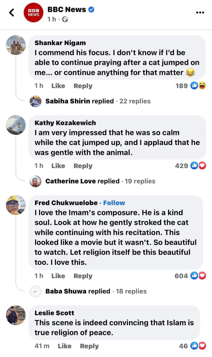 الجیریا میں شیخ ولید صاحب نے امامت شروع کی تو ایک بلی نے کندھے پر چڑھنے کی کوشش کی 
امام صاحب نے بلی کو کندھے پر بیٹھنے میں مدد کی 
ویڈیو دنیا بھر کے مشہور سوشل میڈیا پر وائرل ہوئی اور 
غیر مسلموں کی طرف سے اسلام کے بارے میں بہت کمنٹس آئے