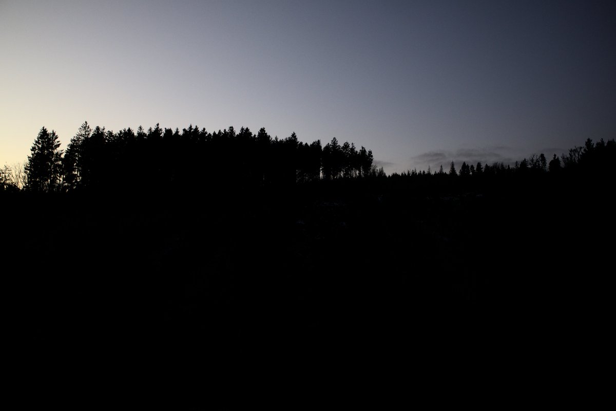 orgravenblack's tweet photo. when the evening falls details fade, but that doesn't mean it's less beautiful.
#photo #photography #photographylovers
#nature #naturephotography #naturelovers
#landscape #landscapephotography #landscapelovers #ardennes #hautesfagnes https://t.co/Hua1gVP4Rj
