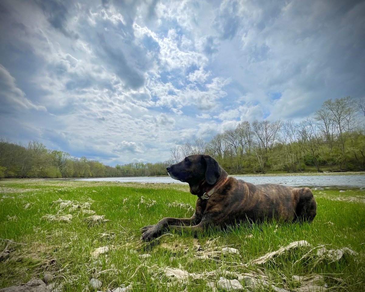 Fishing Report April 7th, 2023 - 3riversangler.com/?p=1713779