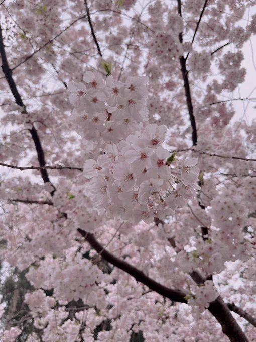 so pretty! 