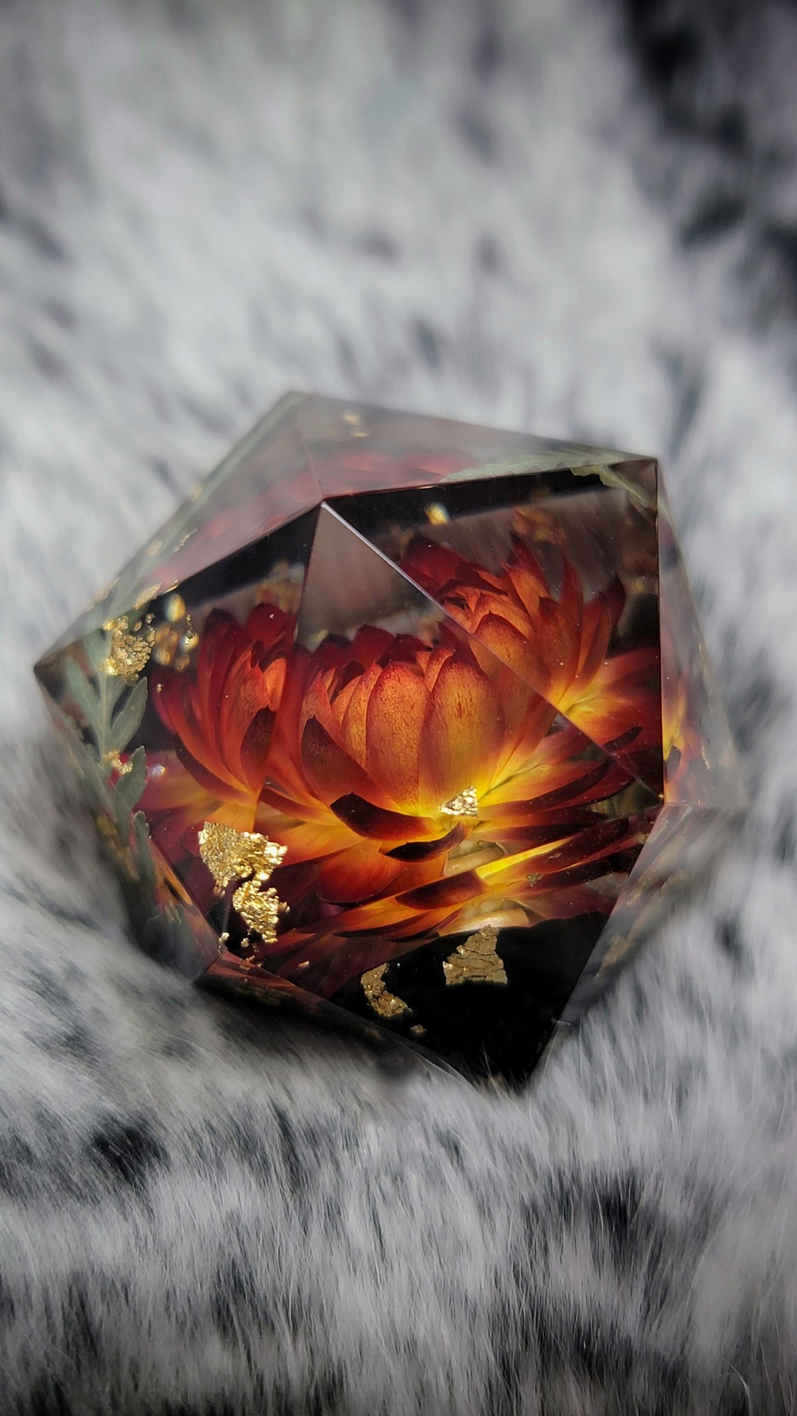 Dice Dumpling (dicedumpling) / Twitter