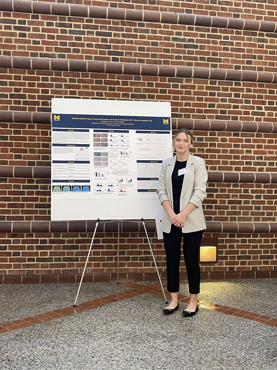 Elisabeta Ujeniuc presented her research findings on the anti-cancer effects of bacalein in ER+ breast cancer cells today at the Undergraduate Research Symposium in Ann Arbor ⁦<a href="/UMDearbornCASL/">UM-Dearborn CASL</a>⁩ #breastcancer #research #bacalein #cancerprevention