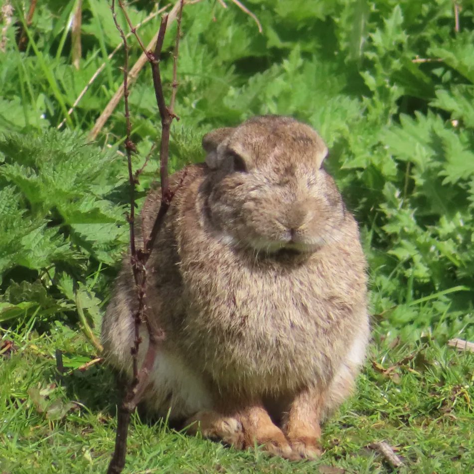 Kit D 💎😷🇺🇦 #BusyLivingWithMets tweet media