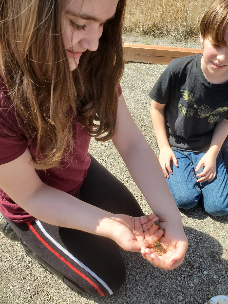 MrsHickcox5's tweet image. We spent so much fun at Prairie Fork today! #CREateleaders #cpsbest #cpsscience