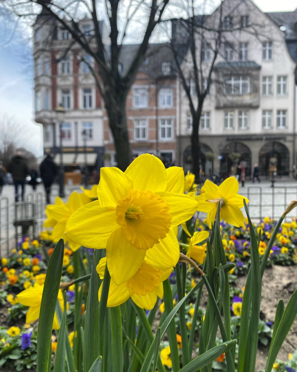 🐰Frohe Ostern🐰

Wir wünschen Euch frohe Ostern und ein paar schöne freie Tage🐣 

📸 Katharina Isabel Franke 

#eifelhilft #eifel #aachen #ostern