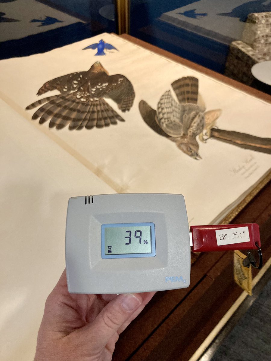 NUL_PresCons's tweet photo. To be trusted caretakers of 435 birds, we monitor the temps and relative humidity of the exhibit case that displays our 4 folios of Audubon’s Birds of America. Take a gander to @NU_LIBRARY to see!
#ArchivesForTheBirds #ArchivesHashtagParty 
More ⬇️
https://t.co/g6cLthEjmu https://t.co/OkNYej2ELq