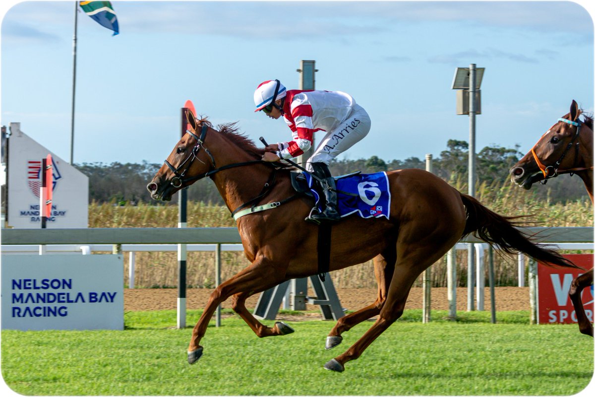 Kotzen's Virginia Is A Sweetie!
Read more on Kotzen's Virginia Is A Sweetie! on Sporting Post, bringing you the latest in Horse Racing News, Previews and Reviews.
sportingpost.co.za/horse-racing/k…