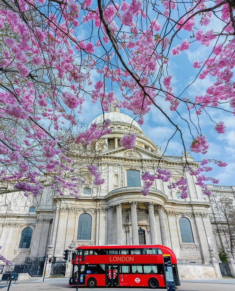 LarryBou2's tweet photo. London 📷 📷
#unitedkingdom #love #londonfoodguide #londonlife #londonlifestyle #beauty #londoncity #londonphotography #london #england #travel #tbt #worldwide #Tiktok #home https://t.co/Bf8OnvcJKP