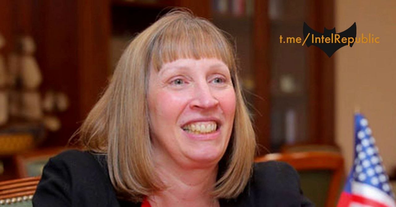 sinnaig-banned-account-on-twitter-lynne-tracy-us-ambassador-in