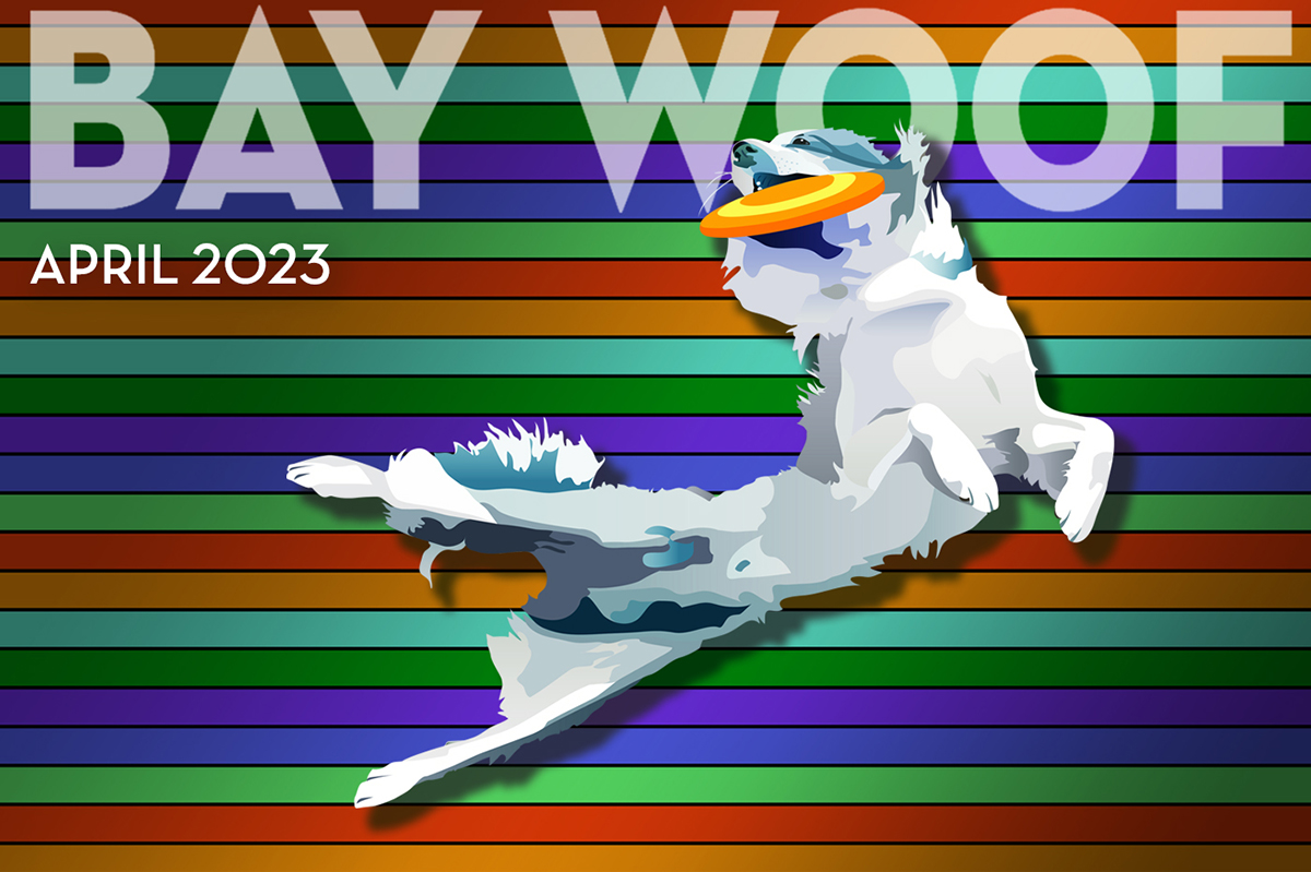 Bay Woof Foundation tweet media