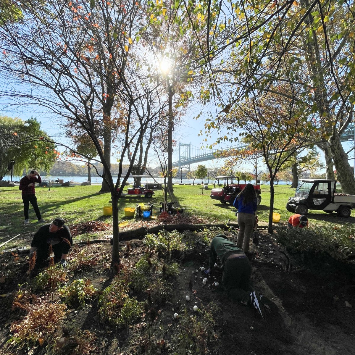 Check out the before and after of the results of our Customer Care Team's volunteer outing with Randall's Island Park Alliance! If you're on the island this spring or summer check out the White Garden to see the results of our team's incredible work 🌷 #AttuneintheWild