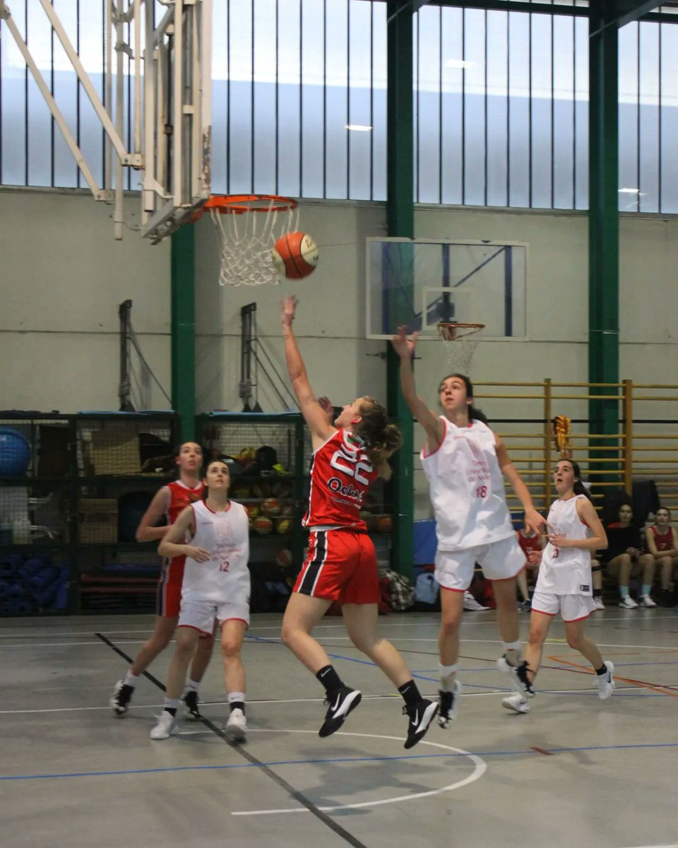 oiarsoskt's tweet photo. 📸¡¡Nuevas fotos!!📸

🏀Partido el del Senior Femenino VS Tecnun el finde pasado🏀

- - -

📸Argazki berriak!!📸

🏀Senior Nesken VS Tecnun pasa den asteburuko partida🏀

#guoiarsogara https://t.co/Z8kyYmD1RH