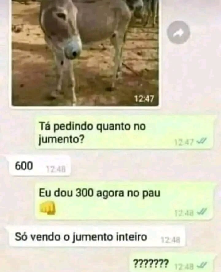 Eu adoro Memes