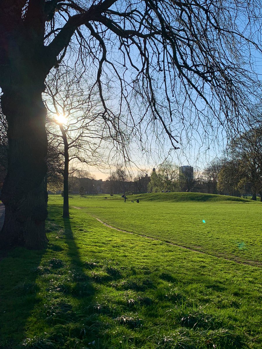 Sarah Gilchrist tweet media