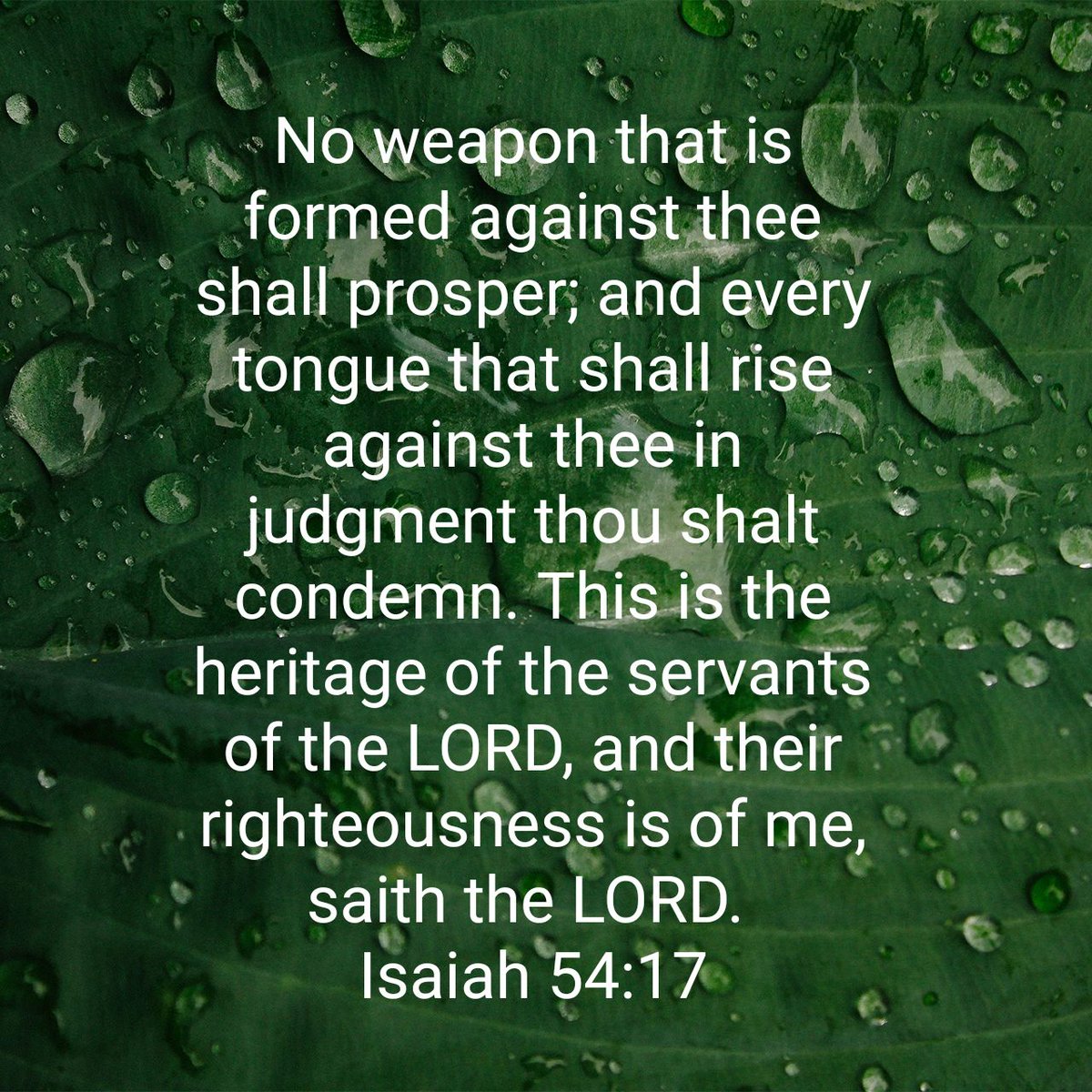 herrell_kelly's tweet photo. No weapon that is formed against thee shall prosper; and every tongue that shall rise against thee in judgment thou shalt condemn. This is the heritage of the servants of the LORD, and their righteousness is of me, saith the LORD.
Isaiah 54:17 KJV

https://t.co/WhHsoQfWLd https://t.co/SADOtGDN0I