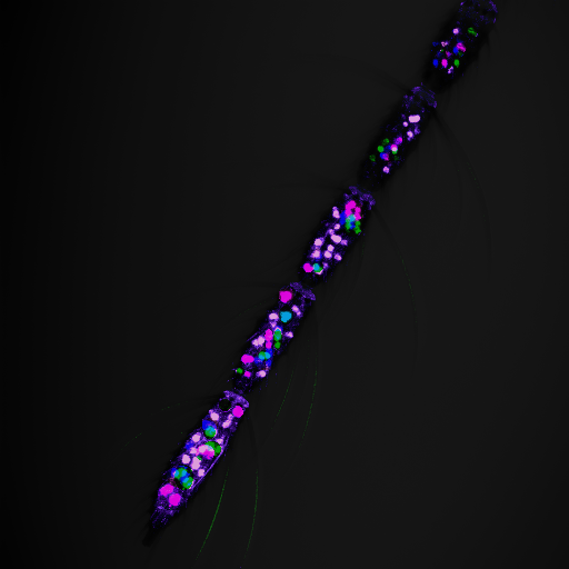 Molecular Instruments tweet media