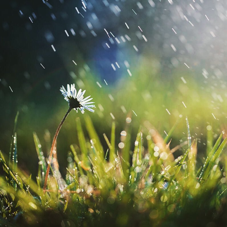 Jennifer Peavey tweet media