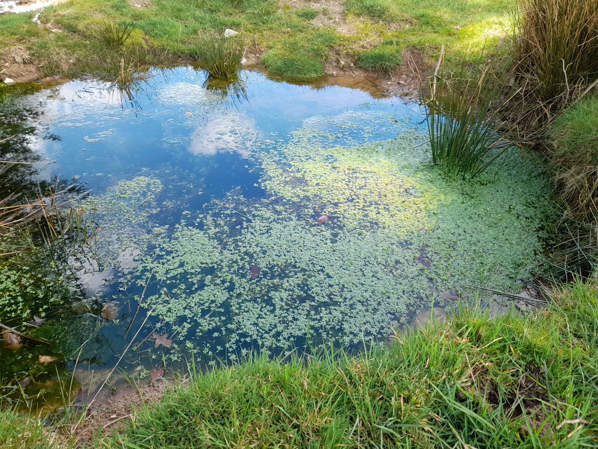 Golygfeydd gwych o Gors Caron a'r ardal heddiw.