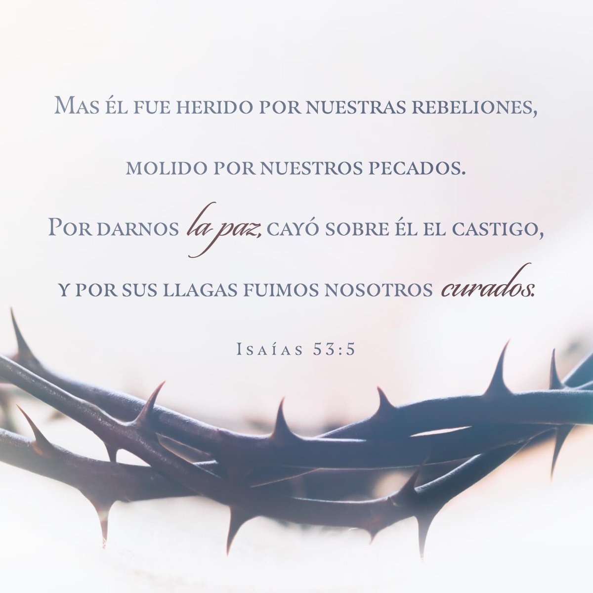 El Salmista (@el_salmista_) on Twitter photo 