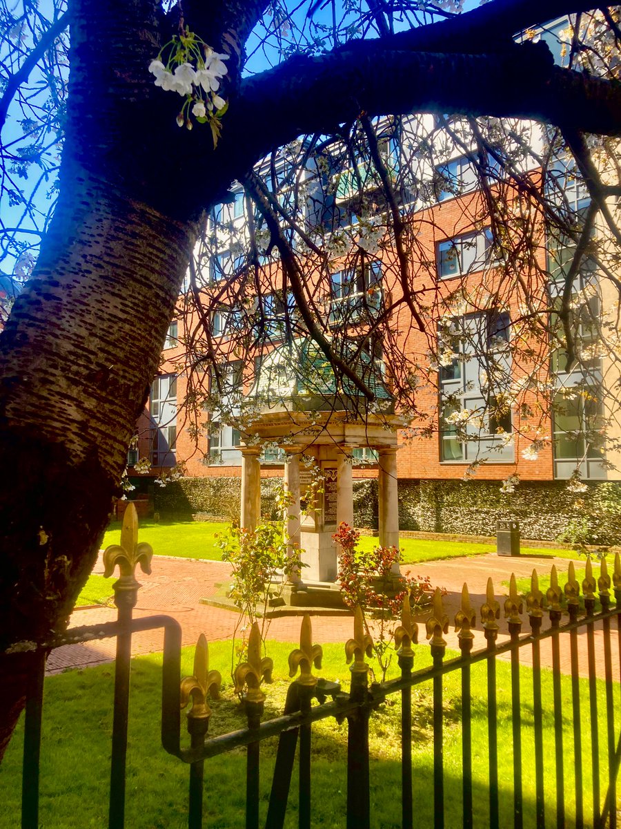 friendsofroscoe's tweet image. What a great Good Friday in Roscoe Gardens today. Blue skies, white blossom, daffodils and roses brighten up the grey environment 🤍💛💖💚

Perfect day for a litterpick, graffiti clean up and a saunter down to @RoscoeHead for a sunshine pint🍺