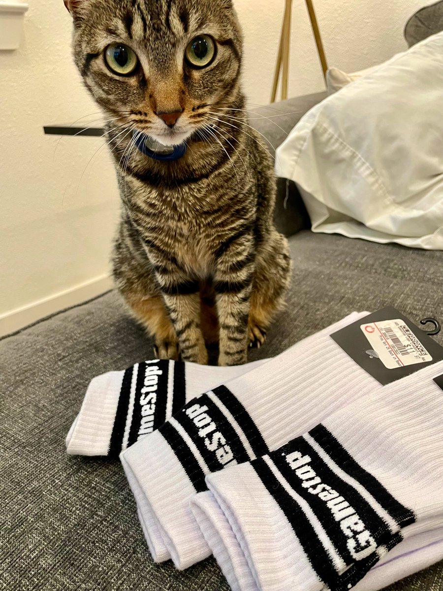 jablesdotcom's tweet photo. Piper like the socks. #ILikeTheSocks #GameStop 🏴‍☠️🏴‍☠️🏴‍☠️ https://t.co/Sdh4H2I9Rc