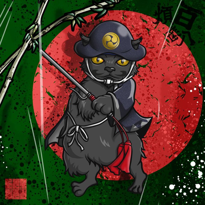 黒猫、ハチワレ 