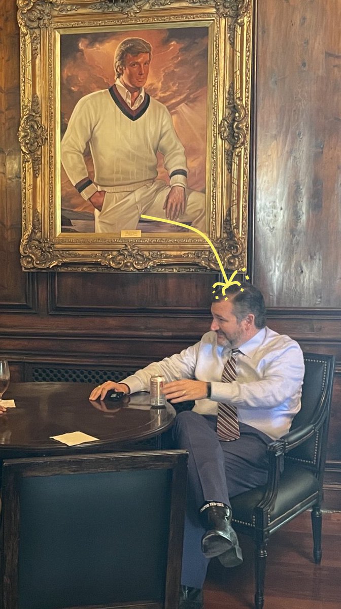 taradublinrocks's tweet image. Donald Trump’s 34 felony charges have just entered the chat where there are zero charges against anybody named Biden, you useless subhuman Trumptoilet/bidet #TurdCruz