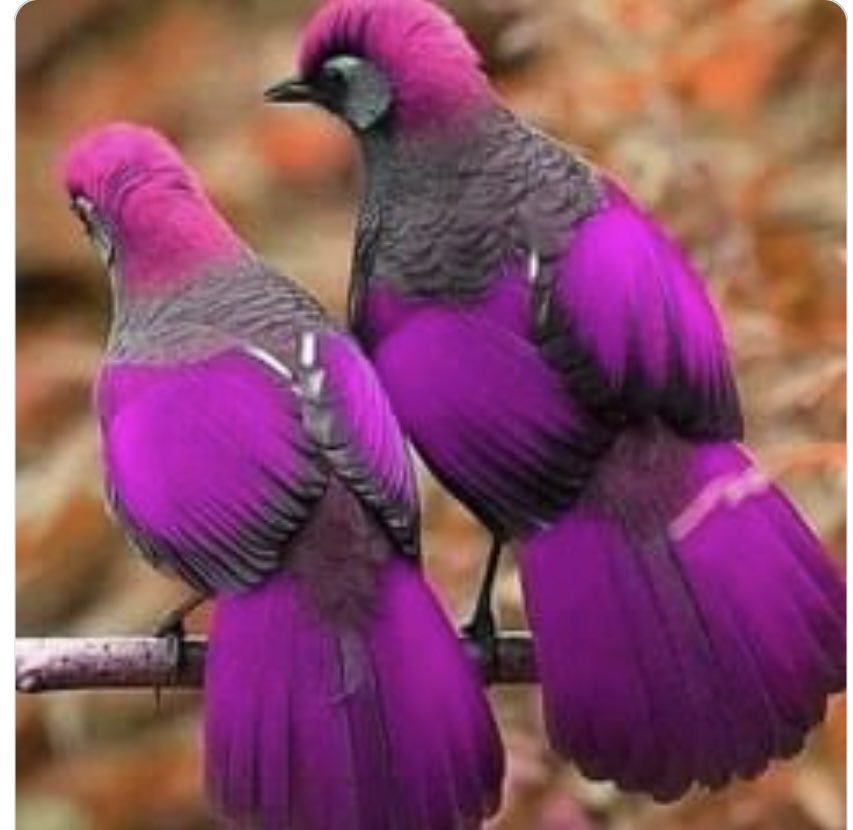 طاري بعض البشر ينعش #الروح 
والبعض يجهد #بلاها 
🌷🌷🌷