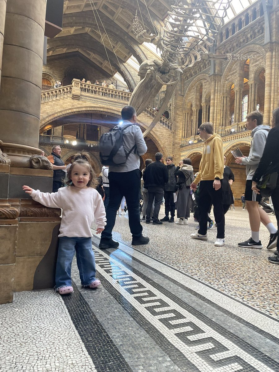 George Carlin tweet media