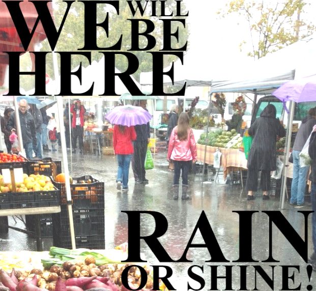 edenpurebeef's tweet photo. Rain or Shine, we are here for you!  Marietta &amp; Brookhaven Farmer's Markets will be open tomorrow! - https://t.co/EuSpCgYbAy https://t.co/iei8Mbfe8s