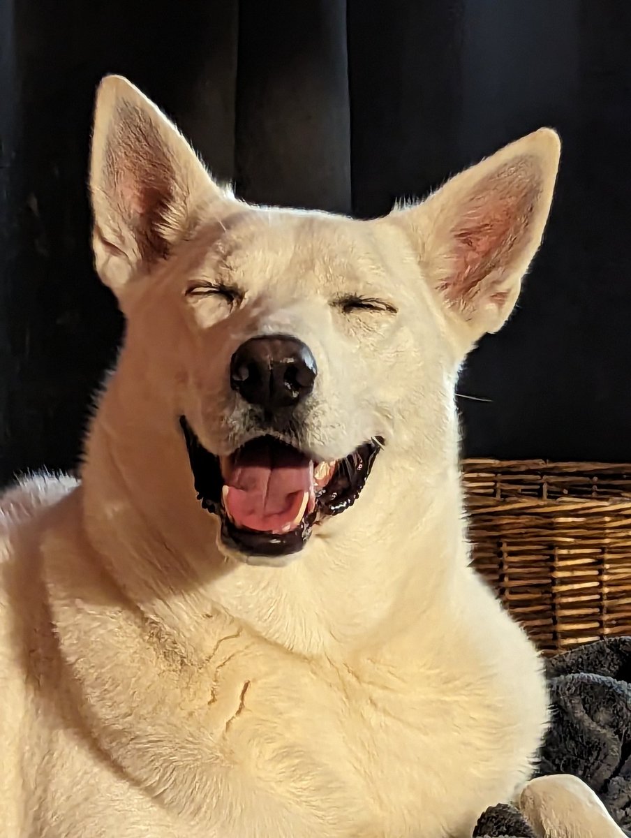 Omaha Beer Week tweet media