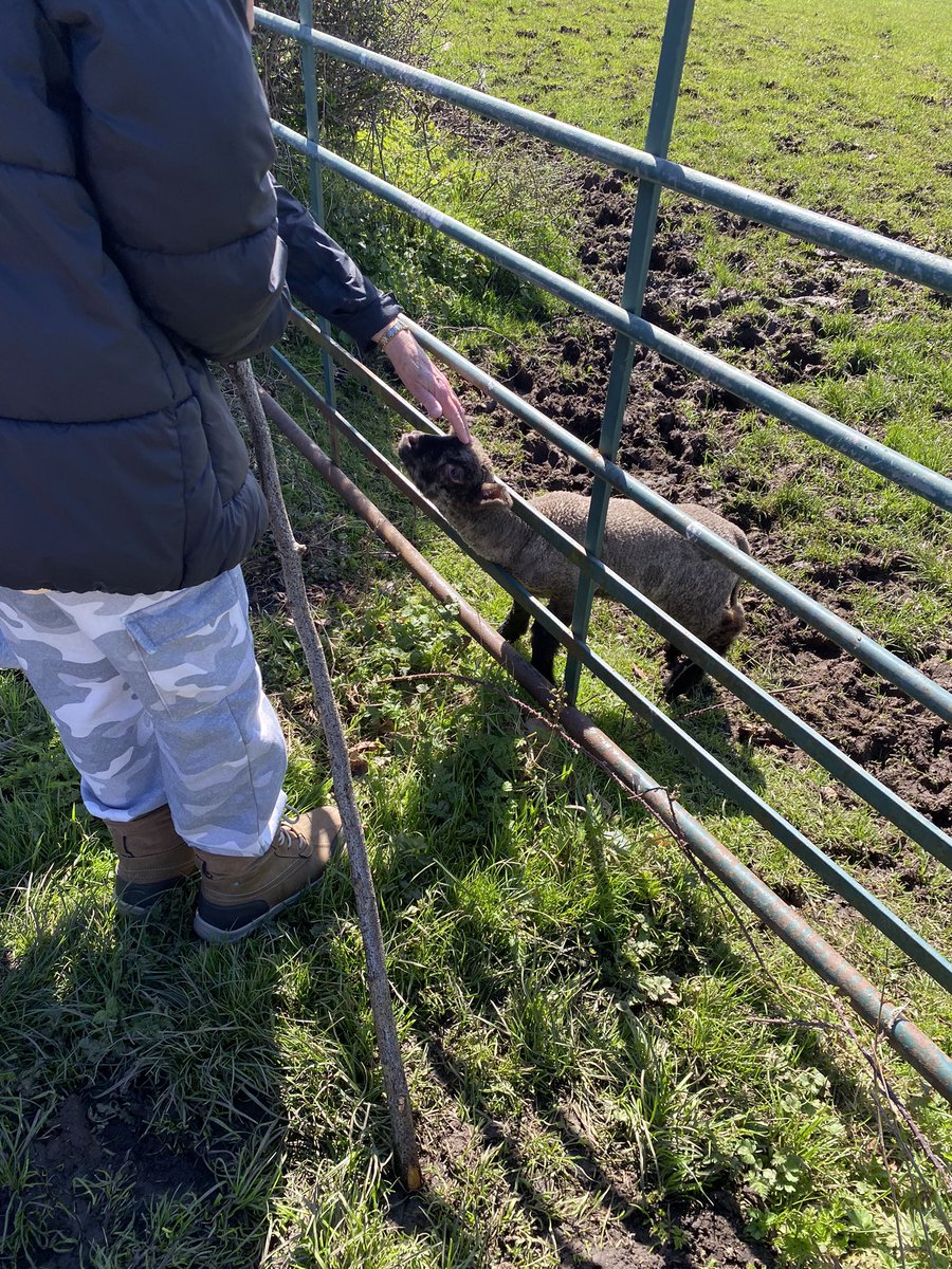 VickiaDSN's tweet image. Spring has sprung

#ilovespring #Spring #faveseason #April