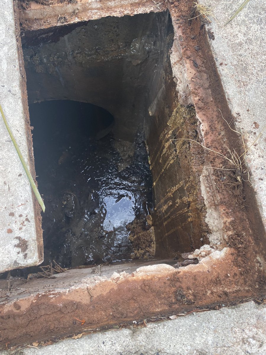 GlennonHudson's tweet photo. Señores del @311Panama me dicen ustedes que esto compete al @mop y esto es @SaneamientoPma y @IDAANinforma son aguas negras y están llegan a una quebrada @TReporta @tvnnoticias https://t.co/vJ3kuZjijl
