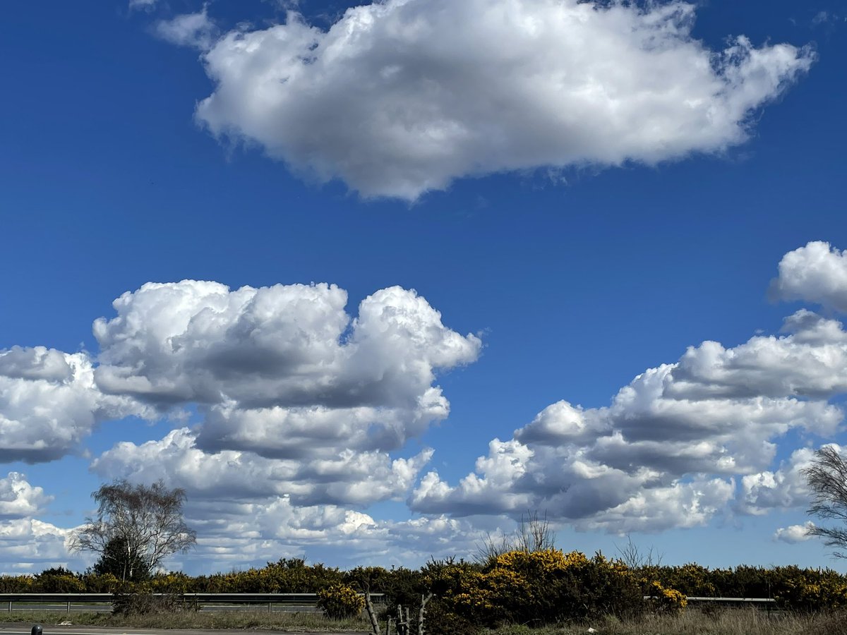 #NewForest #clouds #Spring stunning clouds over the new forest this afternoon.