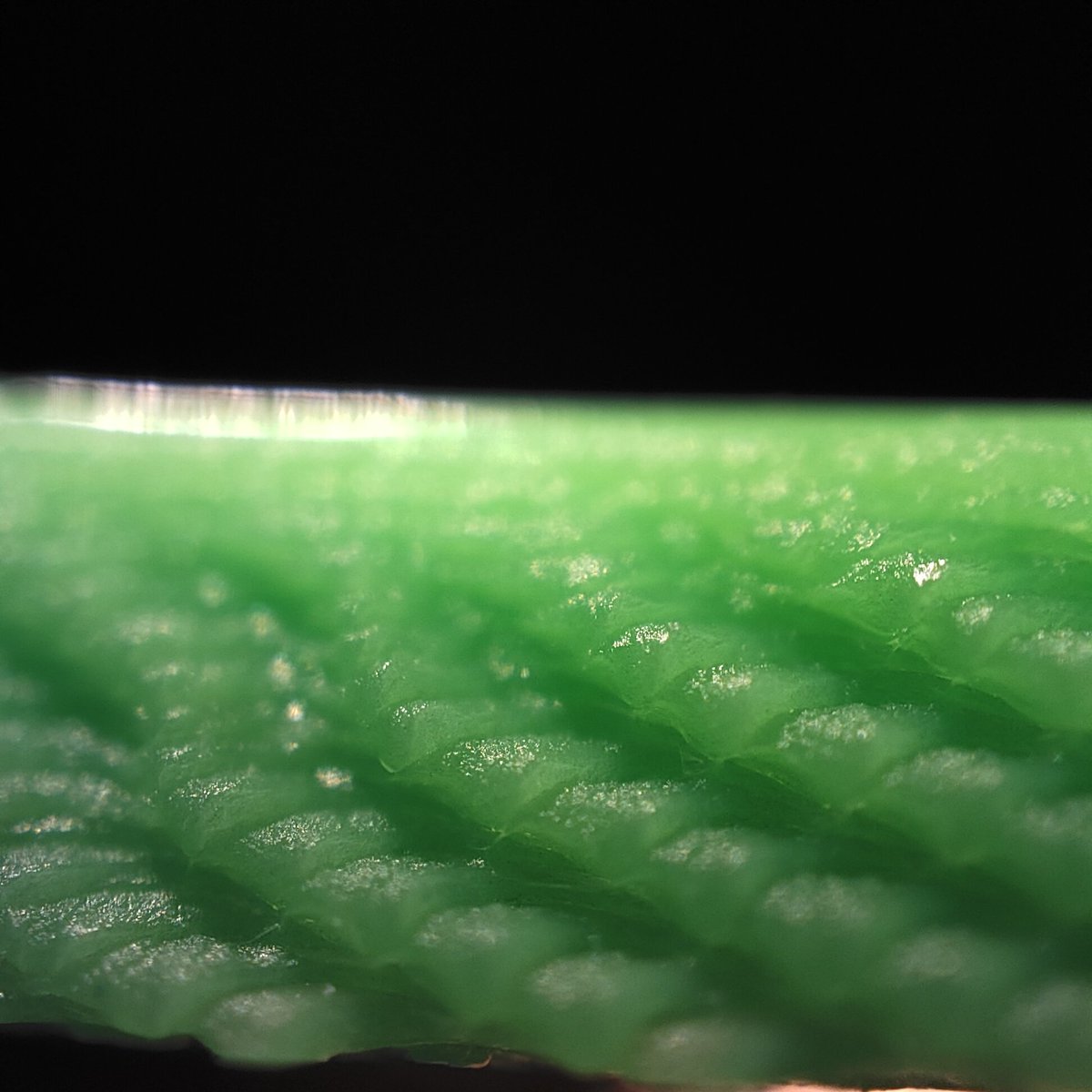 halefall's tweet photo. @FreyaHolmer @Lady_Hayny I really wanted to check out the printing pattern up close
which I can, thanks to a lens on my phone!
this is so fascinating to me

the assembly was a breeze and super satisfying btw!! these gizmos are amazing ✨ https://t.co/whe4sP1W4r