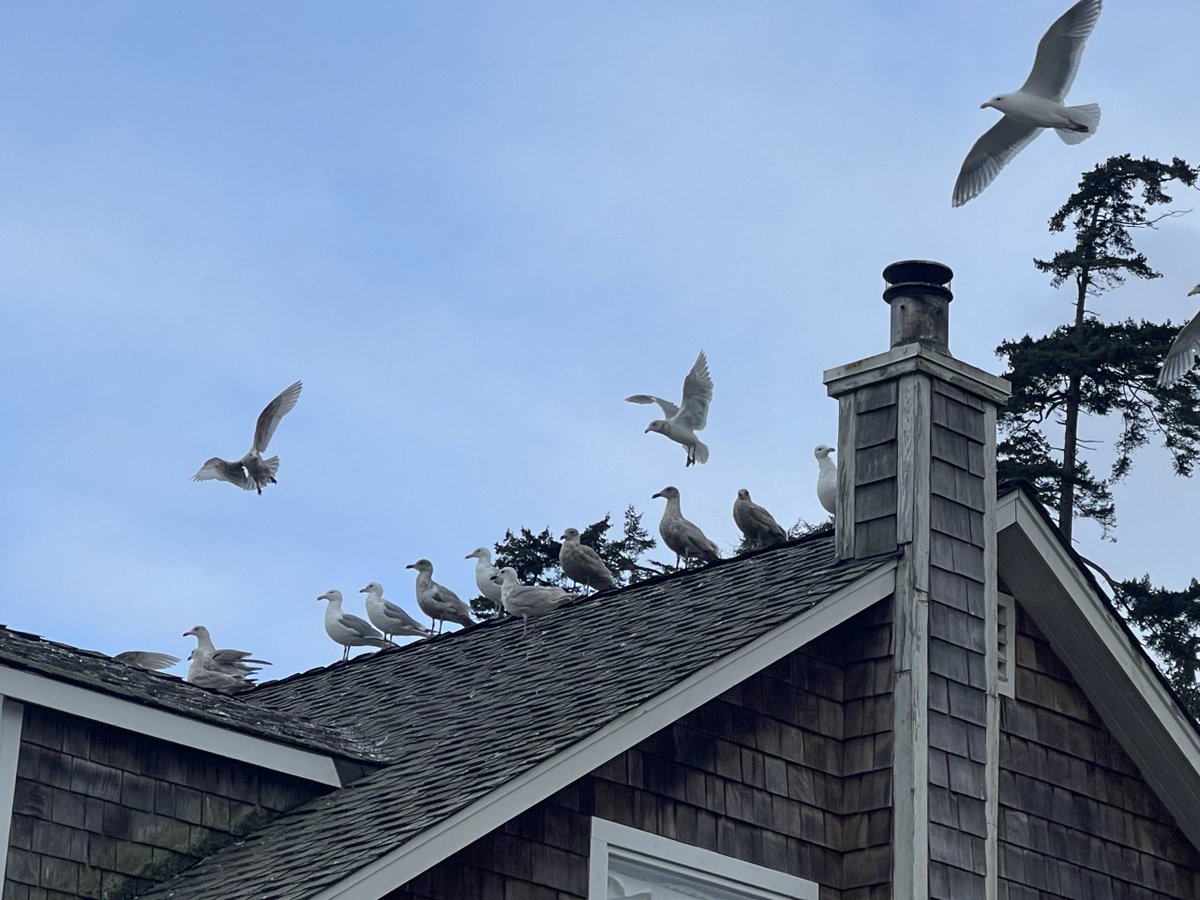 What, did I drop a chip or something?