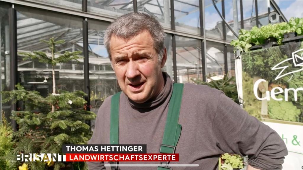 Thomas Hettinger tweet media