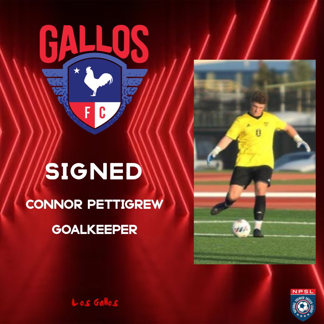 Welcome to Gallos FC!

🐔 Connor Pettigrew
🇺🇸 Frisco, TX
📍 Goalkeeper
⚽️ Lubbock Christian University
🏃‍♂️ <a href="/ConnorP142/">Connor Pettigrew</a> 

#VamosGallos⚽️🐓