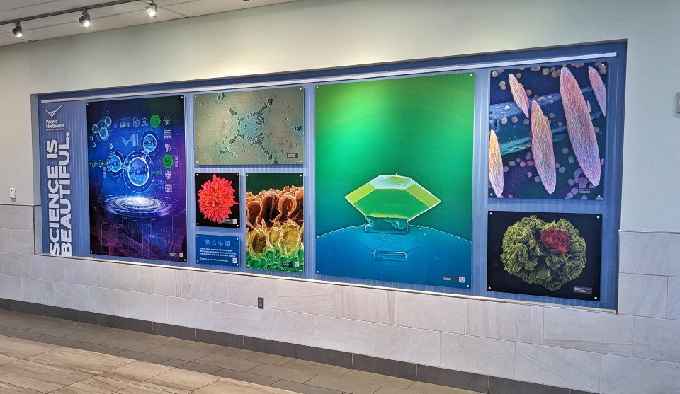 Rita Adele Steyn tweet media