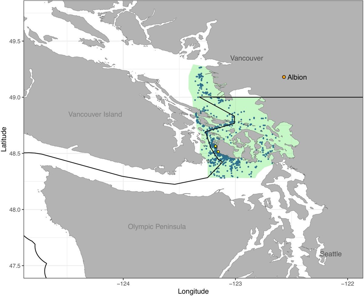 Prairie Orca 🖤🐟 🖖 tweet media