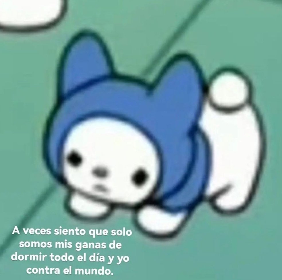 skereunpesado's tweet photo. https://t.co/6XSCxovtts