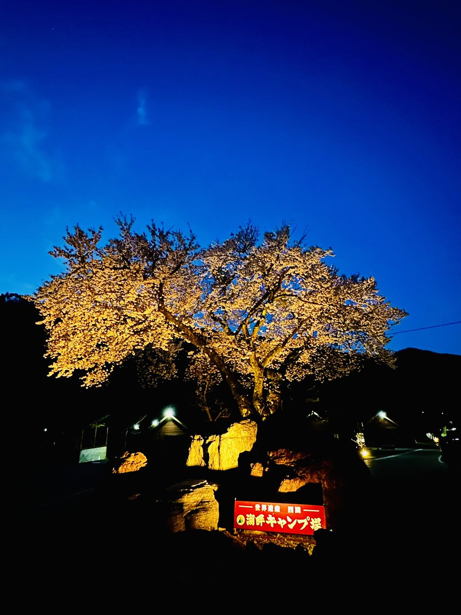 yakkun2020's tweet photo. 10時半チェックインだけど
場所とりで早めにきてみた
2番手でした🚗

#camp
#outdoor
#camper
#キャンプ
#アウトドア
#レガシーツーリングワゴン
#グループキャンプ
#焚き火
#絶景キャンプ場
#西湖湖畔キャンプ場
#神奈川キャンパー https://t.co/ePYyICDY6J