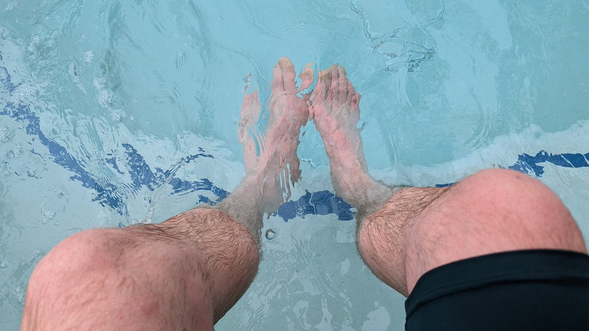 A nice relaxing morning at the 🦩 in Santa Rosa, CA. On the road to get to <a href="/COHealdsburg/">City of Healdsburg</a> for the <a href="/lakesonoma50/">lakesonoma50</a> tomorrow. #imnotrunning