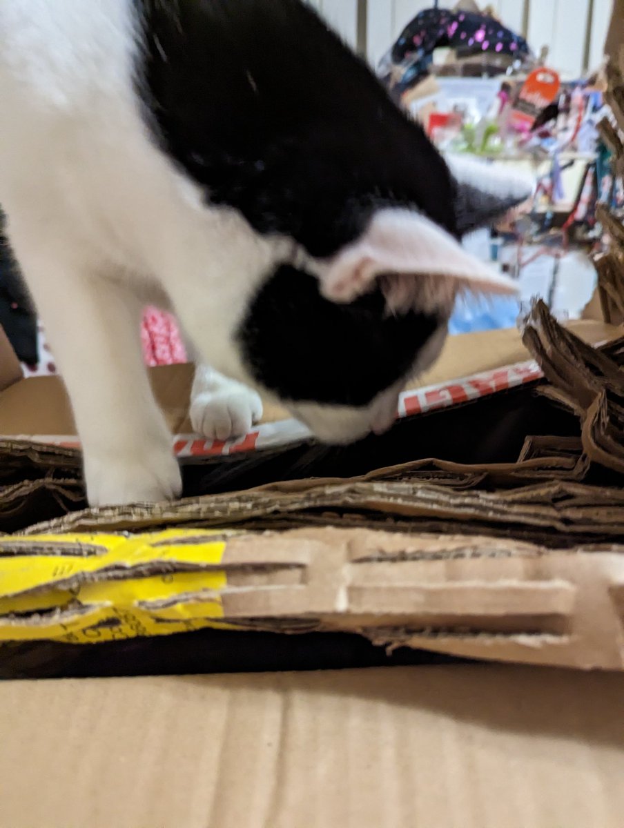 smbslt's tweet photo. #omfg you guys ❤️🥰 not had this much #post since I bought all the crimbo presents! 11 #parcels #incoming #ooft what a lovely #surprise to come home from work to. O/h "what have you been buying" 👀🤣 not all this! #thankyou in advance Off tomorrow so will tackle then xxx https://t.co/xiH3o14w9D