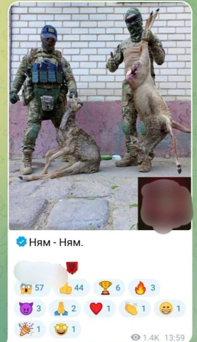 скрич 🇺🇦 tweet media