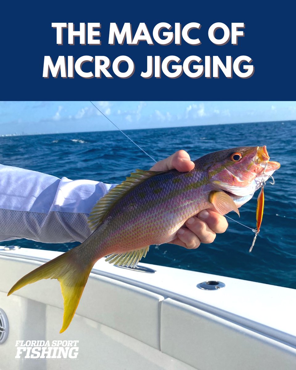 flsportfishing's tweet photo. Whether you’re an avid slow pitch jigger or simply want to explore fun, new ways to fill the fishbox, micro jigging is something every angler should try. READ MORE HERE: https://t.co/JNG35UCxS4
#microjigging #microjig #jigfishing #floridafishing
https://t.co/LQIwLSpExB