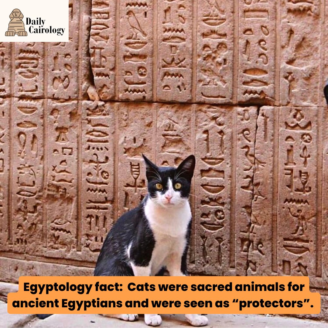 #DailyHistory Interestingly, ancient Egyptians adored cats 🐱! It was even prohibited for someone to kill a cat back then!🤔