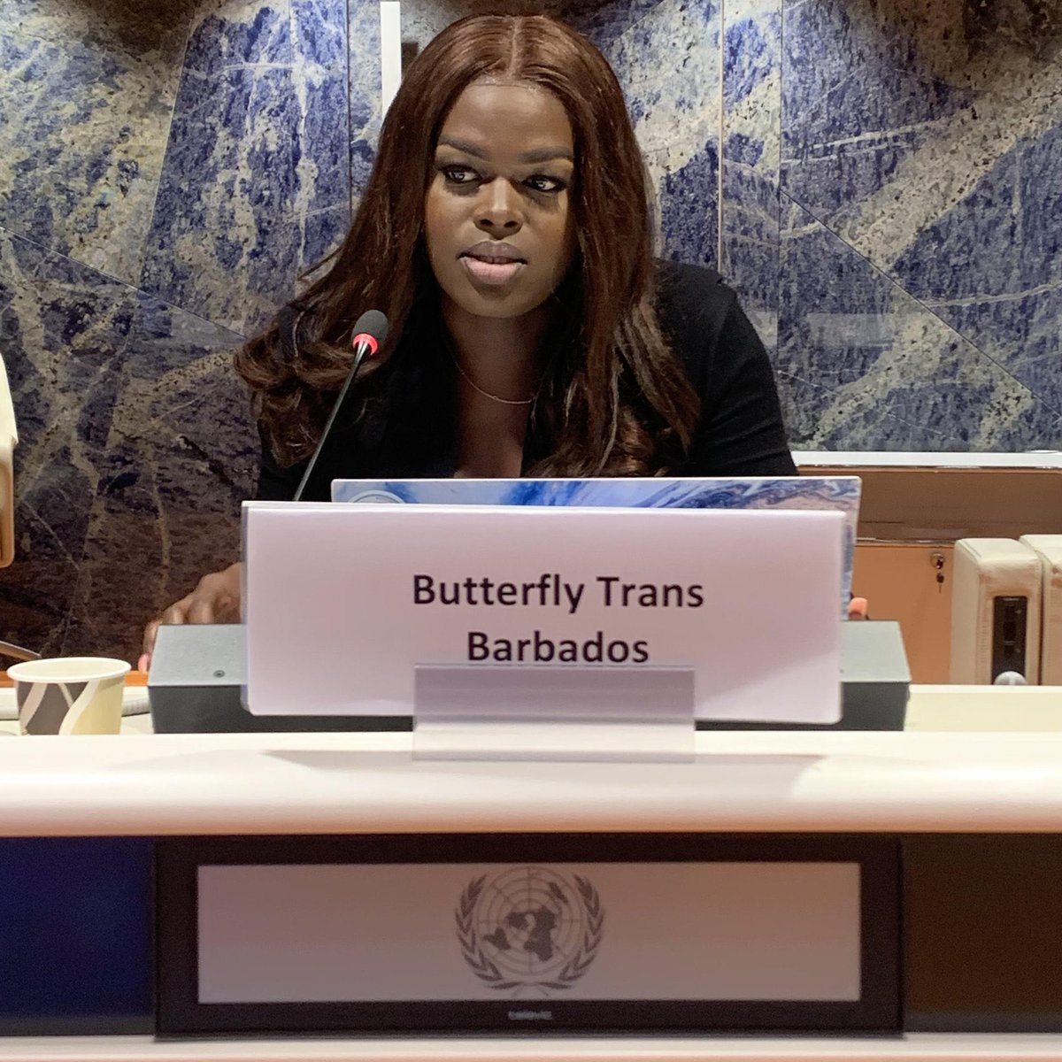 uctransnetwork's tweet photo. Raven Gill from Barbados who leads @ButterflyBarba1 spoke about #discrimination against #transgender people, and #genderidentity in 🇧🇧. She highlighted issues regarding access to healthcare, social services &amp; housing for transgender and non-binary people in #Barbados. https://t.co/Tb0kpNga8R