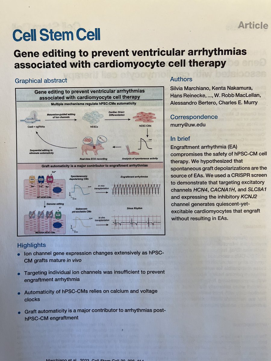 Silvia Marchiano (@silviamarchia) on Twitter photo How it started vs how it’s going
One of the major roadblocks for #heartreneration is the onset of arrhythmias after hPSC-CMs #celltherapy.
We were finally able to overcome this adverse reaction with the #MEDUSA project, published this week on <a href="/CellStemCell/">Cell Stem Cell</a>; so proud of our team! How it started vs how it’s going
One of the major roadblocks for #heartreneration is the onset of arrhythmias after hPSC-CMs #celltherapy.
We were finally able to overcome this adverse reaction with the #MEDUSA project, published this week on <a href="/CellStemCell/">Cell Stem Cell</a>; so proud of our team!