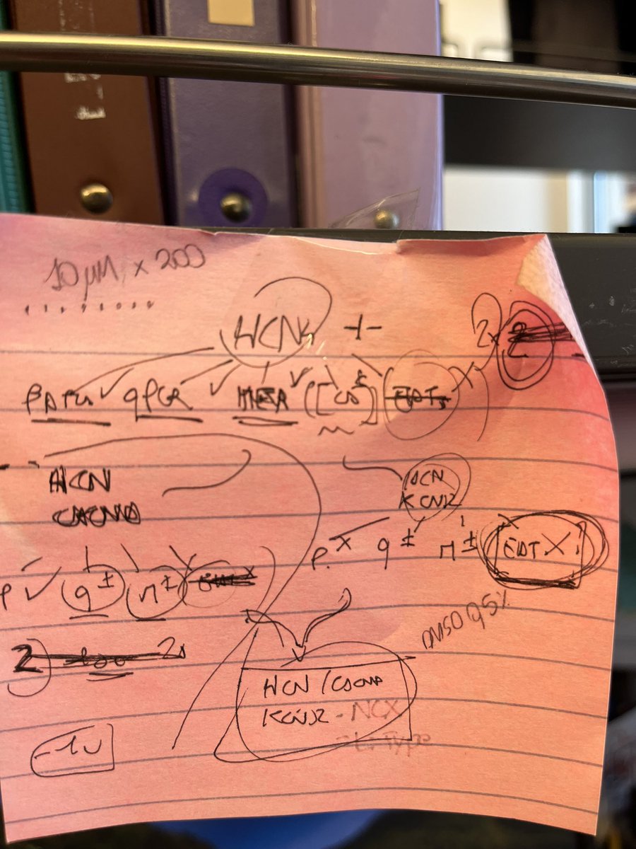 Silvia Marchiano tweet media